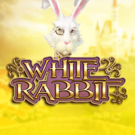 White Rabbit game icon